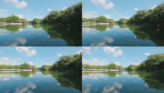广西桂林山水两江四湖唯美意境风景树荫树林高清在线视频素材下载