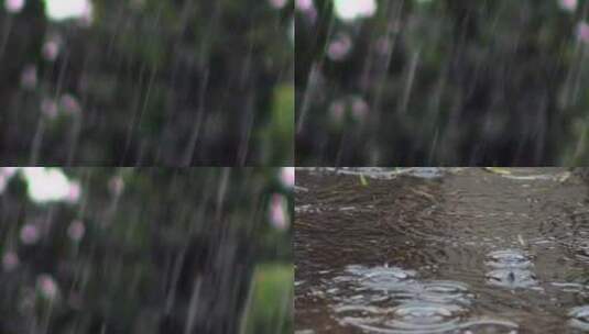 下雨场景3高清在线视频素材下载