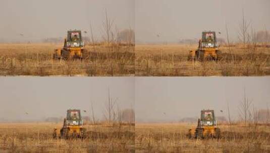 农地农耕时节推土机下地干活高清在线视频素材下载