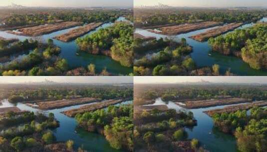 航拍杭州西溪湿地冬日景象1高清在线视频素材下载