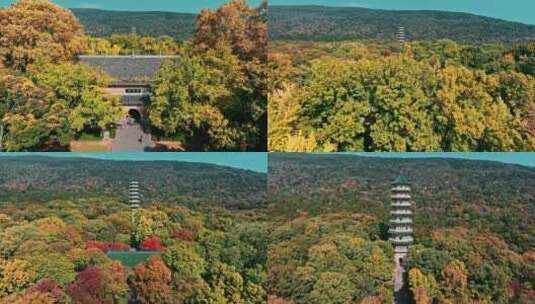秋景南京钟山风景区灵谷寺航拍高清在线视频素材下载