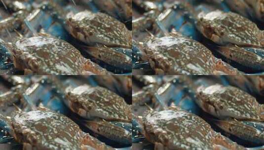 升格拍摄螃蟹洒水mp4高清在线视频素材下载