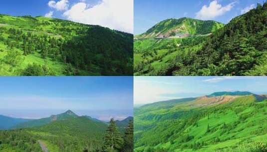 翠绿山峦自然风景，鸟语花香，静心舒压高清在线视频素材下载