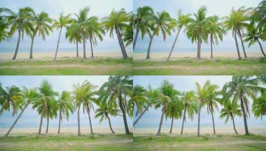 海南三亚海景海边椰树沙滩 椰子树高清在线视频素材下载