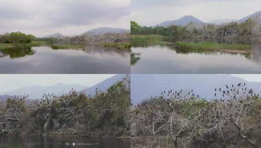 l湿地景色水中倒影高清在线视频素材下载