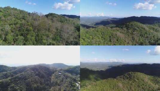云南普洱山林风景航拍4K高清在线视频素材下载