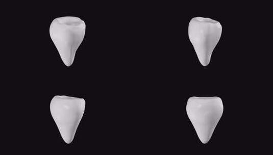 牙齿#3高清在线视频素材下载