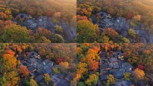 南京灵谷景区灵谷寺航拍高清在线视频素材下载