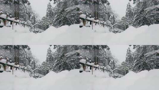 冬雪森林治愈系风景高清在线视频素材下载