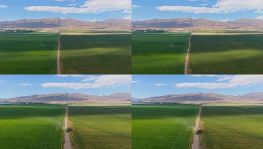 夕阳下绿色田野乡村公路航拍粮食丰收高清在线视频素材下载