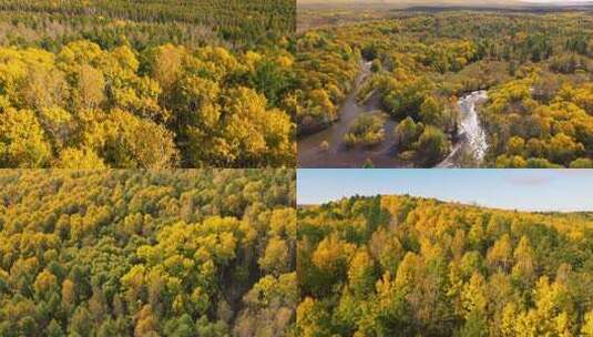 东北大兴安岭原始森林秋天航拍高清在线视频素材下载