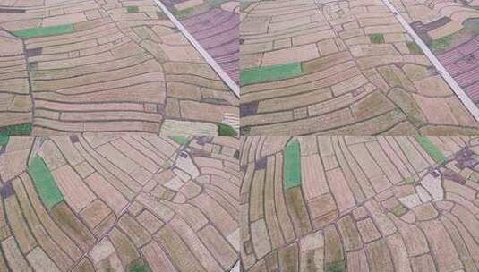 4K俯瞰农田田地三农农业场景航拍高清在线视频素材下载