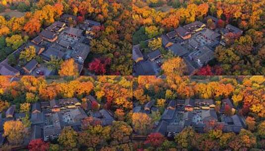 南京灵谷景区灵谷寺航拍高清在线视频素材下载