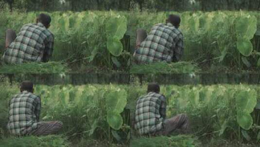 男人在菜园中割草高清在线视频素材下载