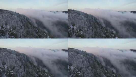 云雾覆盖着山林高清在线视频素材下载