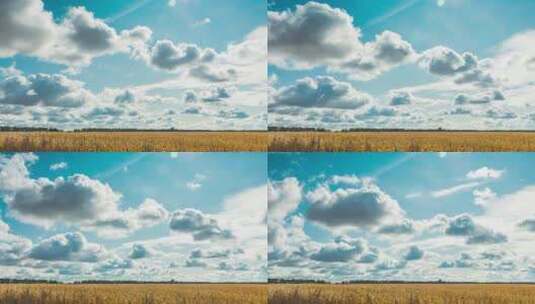 秋季玉米田上空的云景延时高清在线视频素材下载