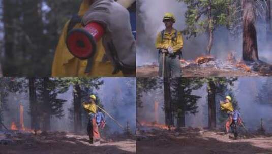 塞拉国家森林消防行动高清在线视频素材下载