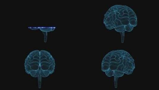 医学 大脑 脑科学 三维 脑ct1 模型高清在线视频素材下载