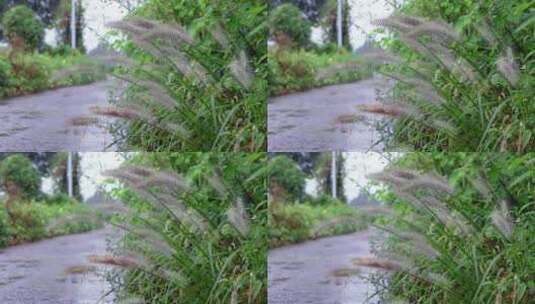 4K实拍下雨天的乡间小道高清在线视频素材下载
