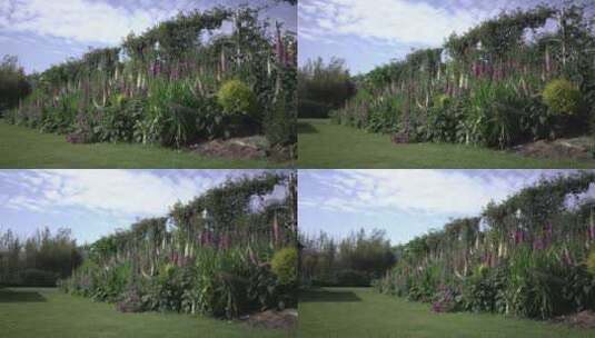 花园花房鲜花蓝天云彩高清在线视频素材下载