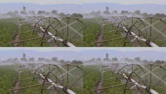 农田自动喷水高清在线视频素材下载