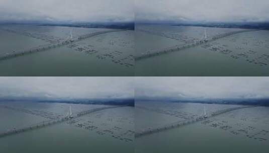 4k航拍深圳湾大桥高清在线视频素材下载