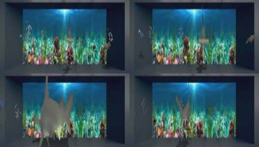 海底世界 海洋生物 大鲨鱼 鲸鱼 珊瑚礁石高清在线视频素材下载