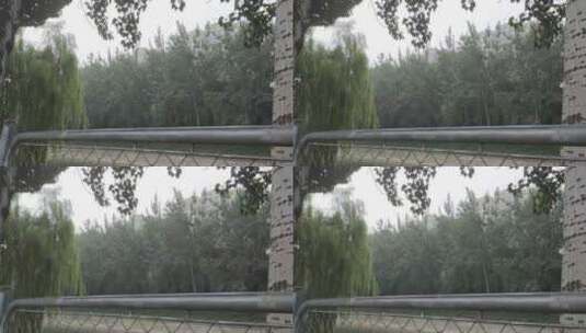 引水渠旁的树木高清在线视频素材下载