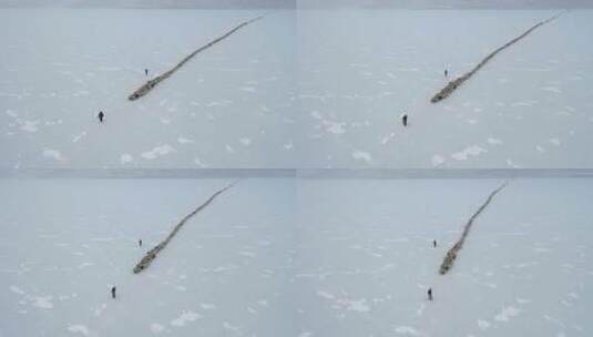 西藏山南冬天普莫雍措蓝冰上赶羊无人机航拍高清在线视频素材下载