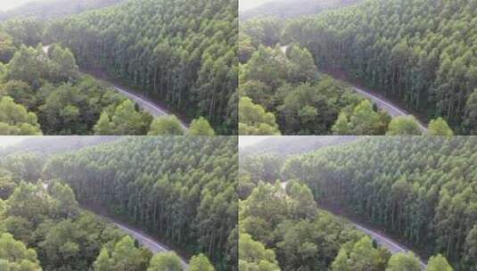 森林公路航拍树林道路汽车行驶航拍山区山路高清在线视频素材下载