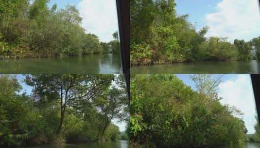湿地公园-西溪湿地高清在线视频素材下载