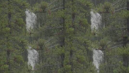 森林瀑布景观 高清在线视频素材下载