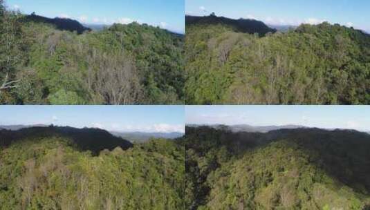云南普洱山林风景航拍4K02高清在线视频素材下载