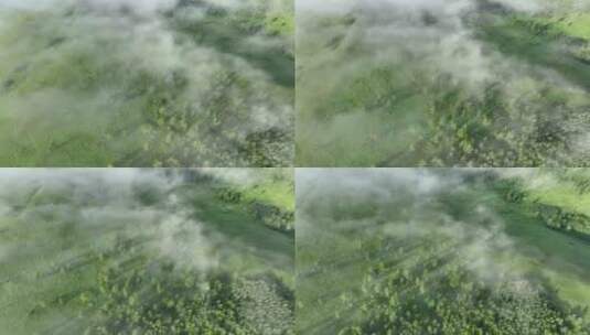 航拍青山云雾缭绕高清在线视频素材下载