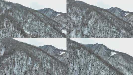 佐治亚州帕萨诺里美丽雪山的鸟瞰图高清在线视频素材下载