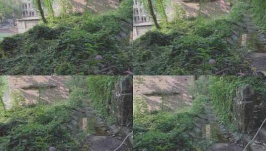 荒废的村子被绿色植物所覆盖高清在线视频素材下载