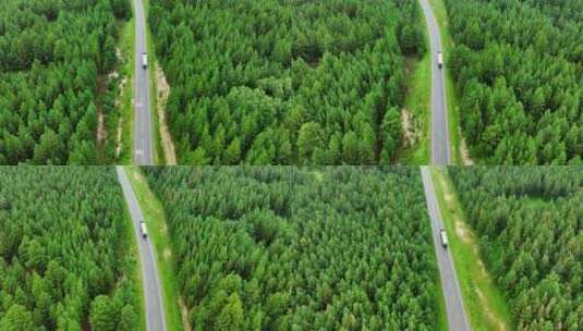 汽车行驶森林公路运输交通高清在线视频素材下载