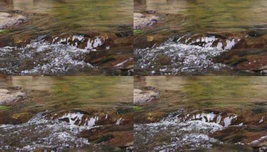 清澈的溪水流水高清在线视频素材下载