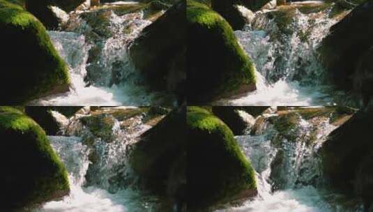 瀑布流水山泉青苔藓山泉溪水流水花水滴高清在线视频素材下载