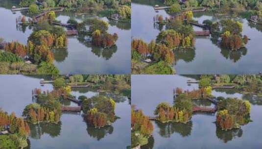 广州海珠湖航拍高清在线视频素材下载