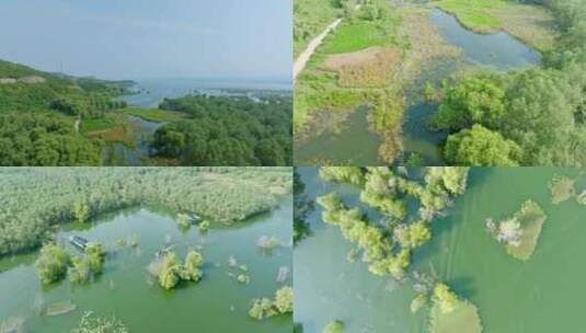 多镜头航拍4K湿地湖泊生态河流保护环境高清在线视频素材下载