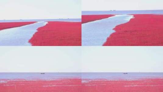 4k红海滩地面高清在线视频素材下载