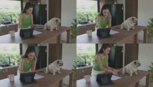 女性在家庭办公室兼顾工作和宠物护理高清在线视频素材下载