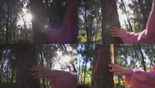 阳光下美女手抚摸树亲近自然感受大自然美好高清在线视频素材下载