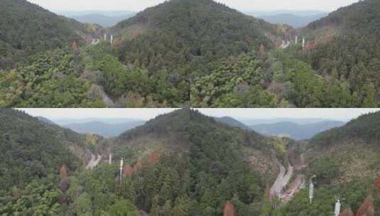 高山森林植物信号塔航拍高清在线视频素材下载