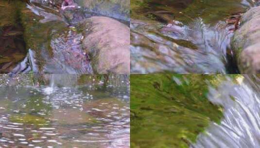 杭州植物园小溪流水风景视频素材高清在线视频素材下载