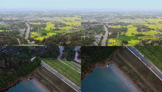 崇州航拍乡村田野油菜花航拍全景高清在线视频素材下载