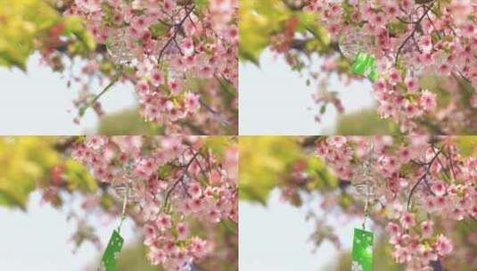 樱花 树下飘动的 风铃特写 风铃高清在线视频素材下载