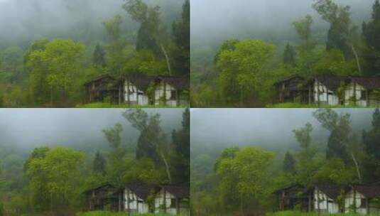 四川雨季云海 山 雾气 森林 大自然高清在线视频素材下载