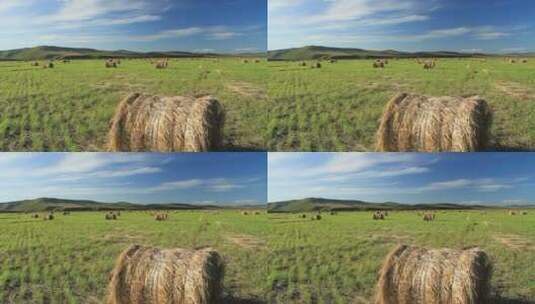 呼伦贝尔牧场草捆高清在线视频素材下载